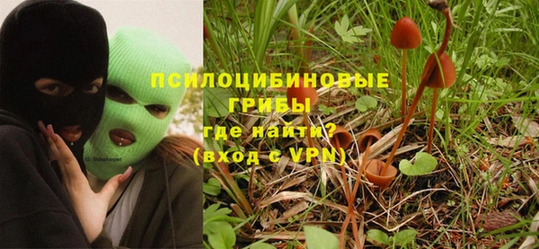 ПСИЛОЦИБИНОВЫЕ ГРИБЫ Балахна
