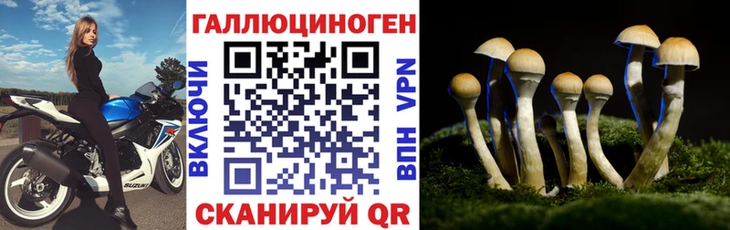 Псилоцибиновые грибы мицелий  darknet формула  Коммунар 