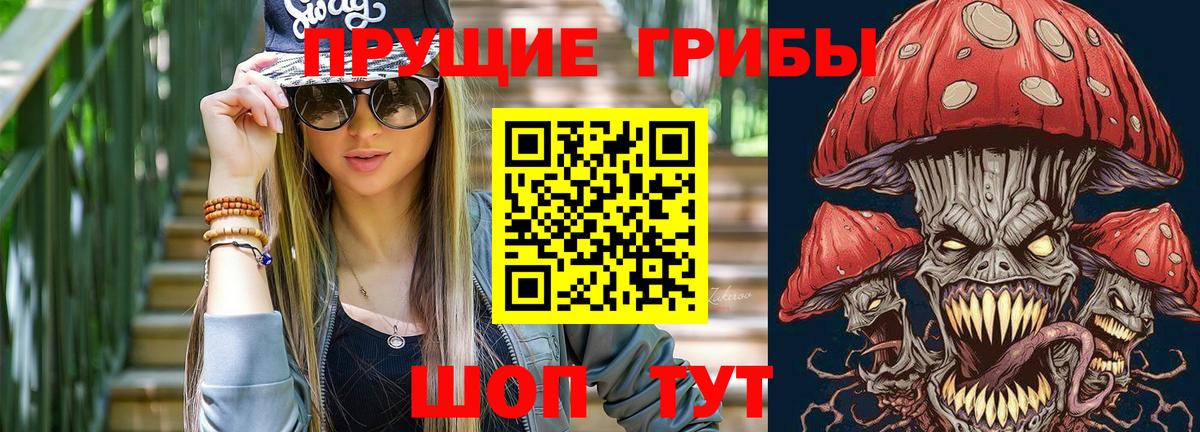 сколько стоит  Псилоцибиновые грибы MAGIC MUSHROOMS  Вход с VPN  Коммунар 