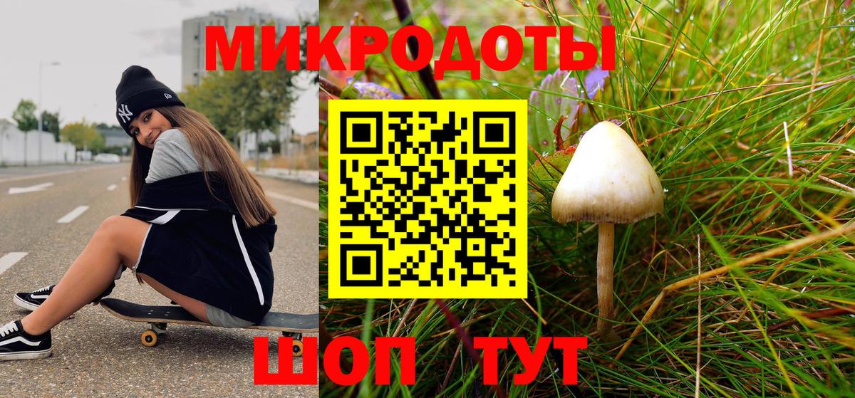 Псилоцибиновые грибы прущие грибы Коммунар